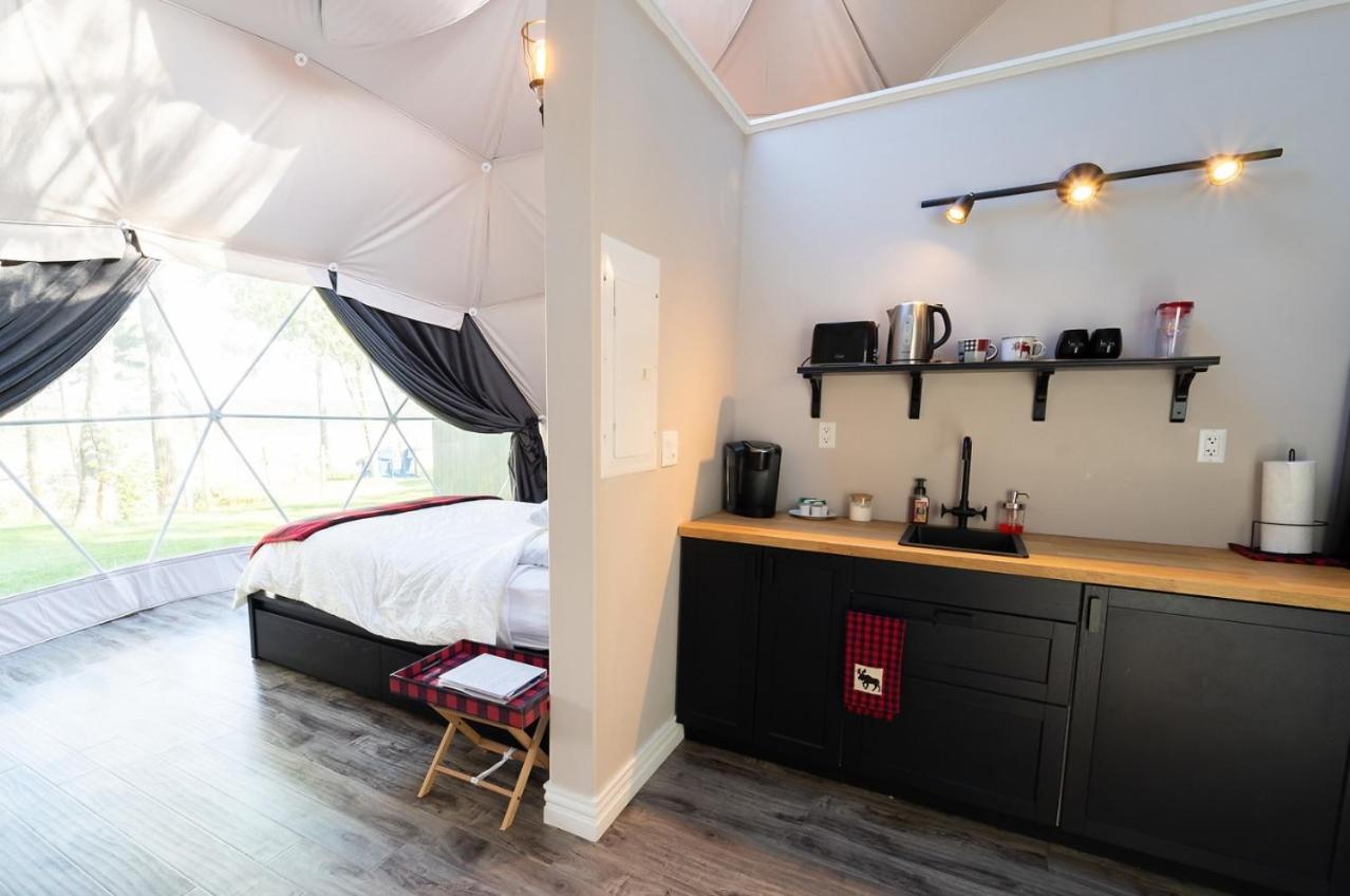 ホテル Gravity Luxury Domes South Maitland エクステリア 写真