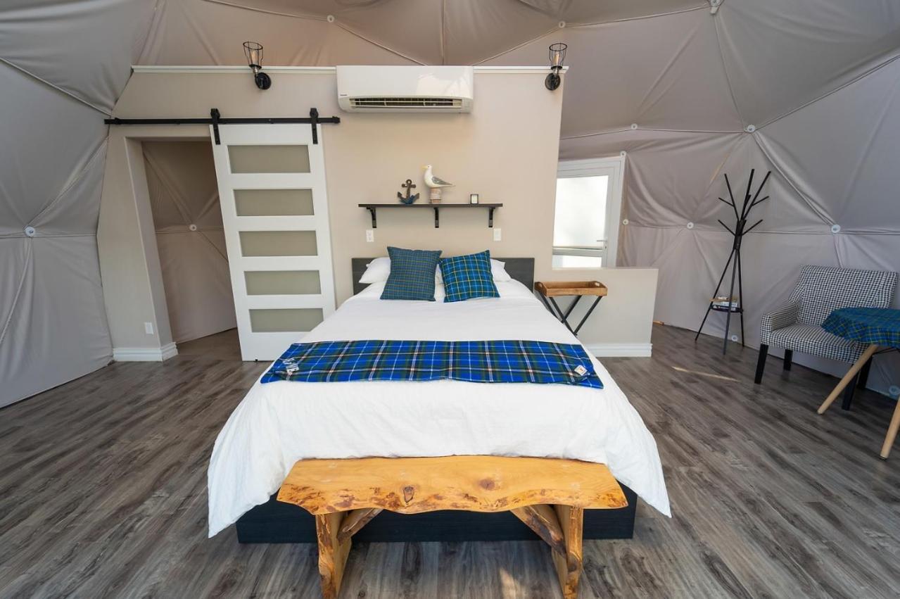 ホテル Gravity Luxury Domes South Maitland エクステリア 写真